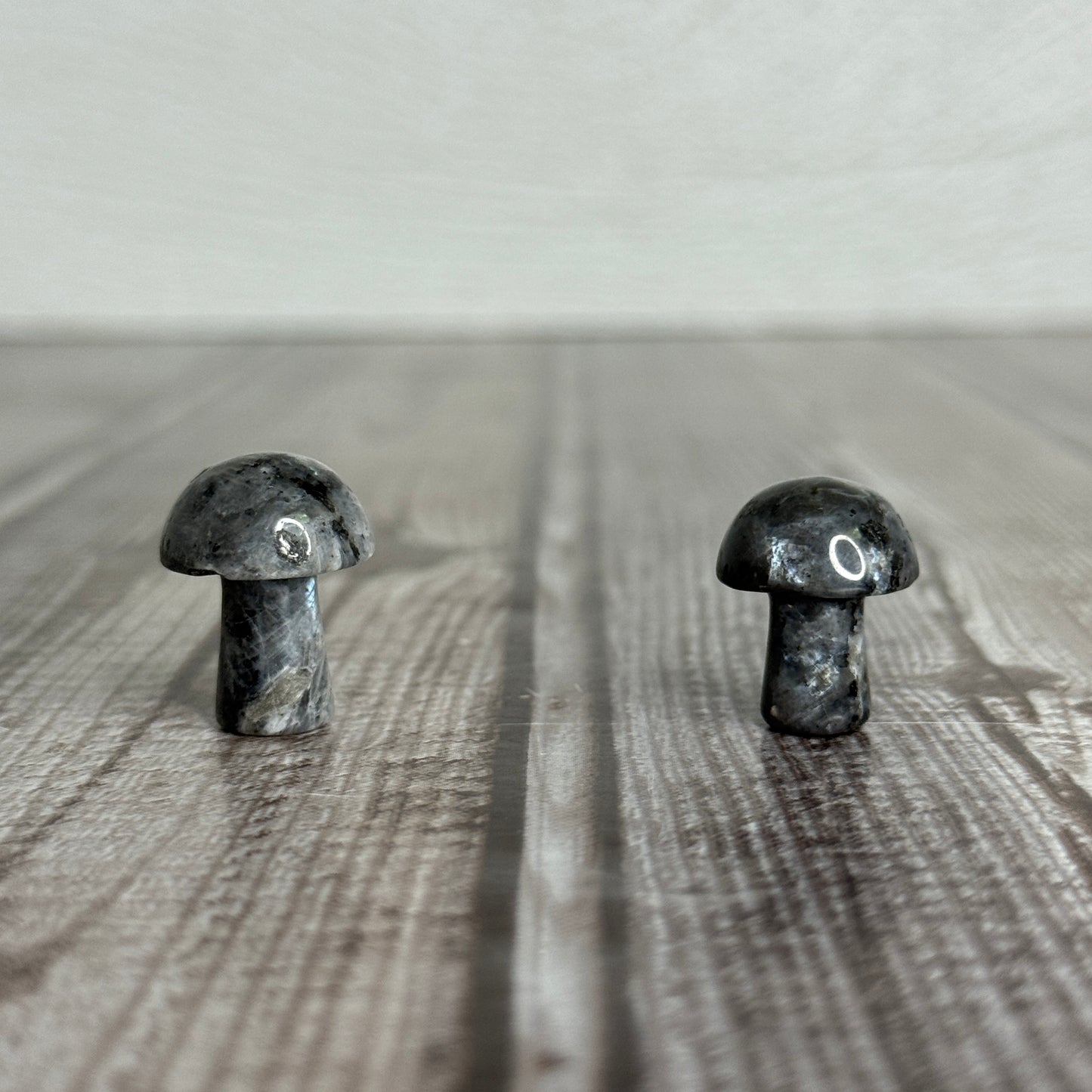 Mini Mushroom