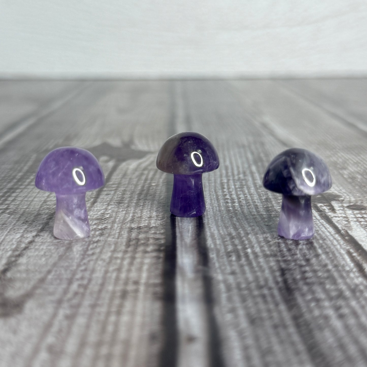 Mini Mushroom