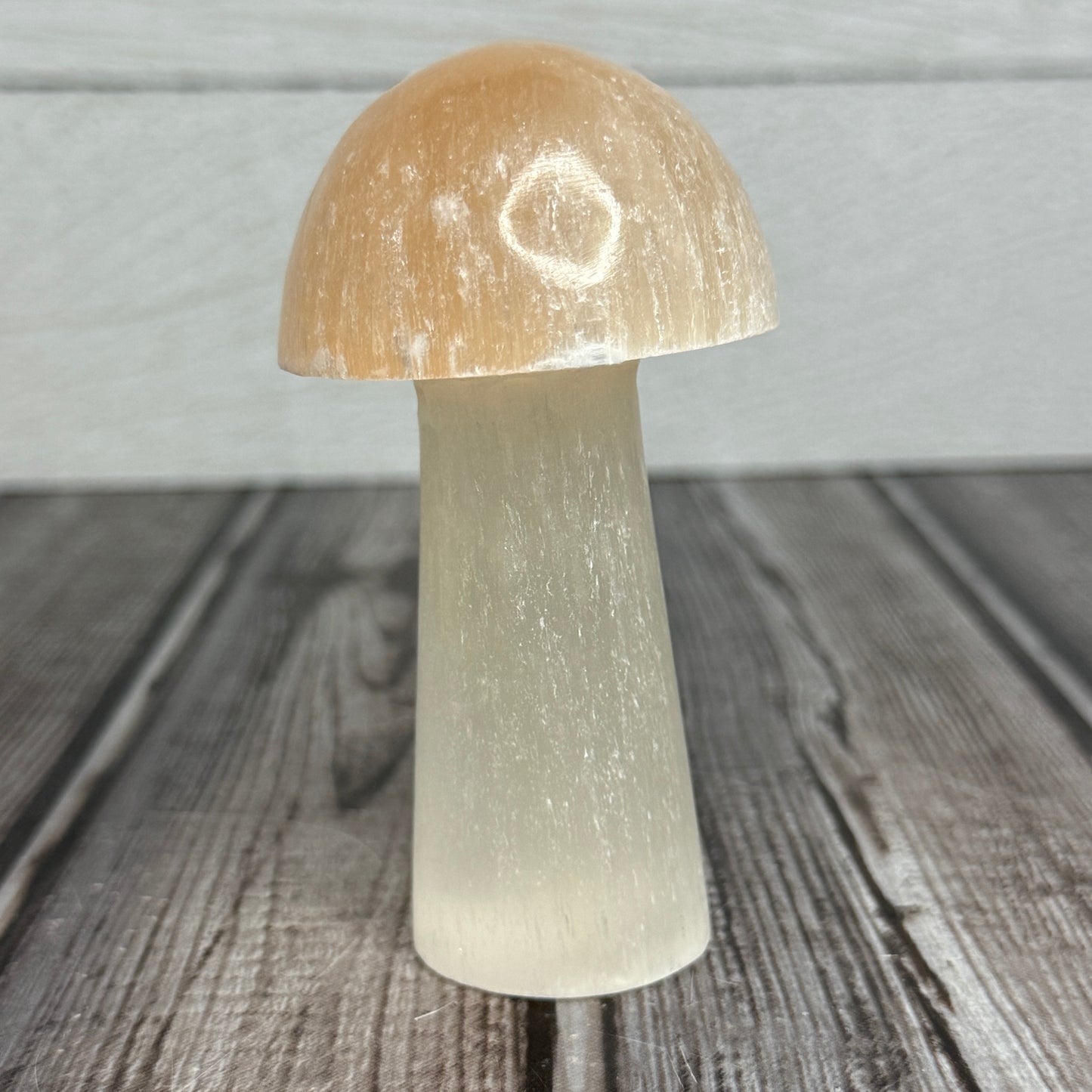 2 Tone Selenite Mushroom