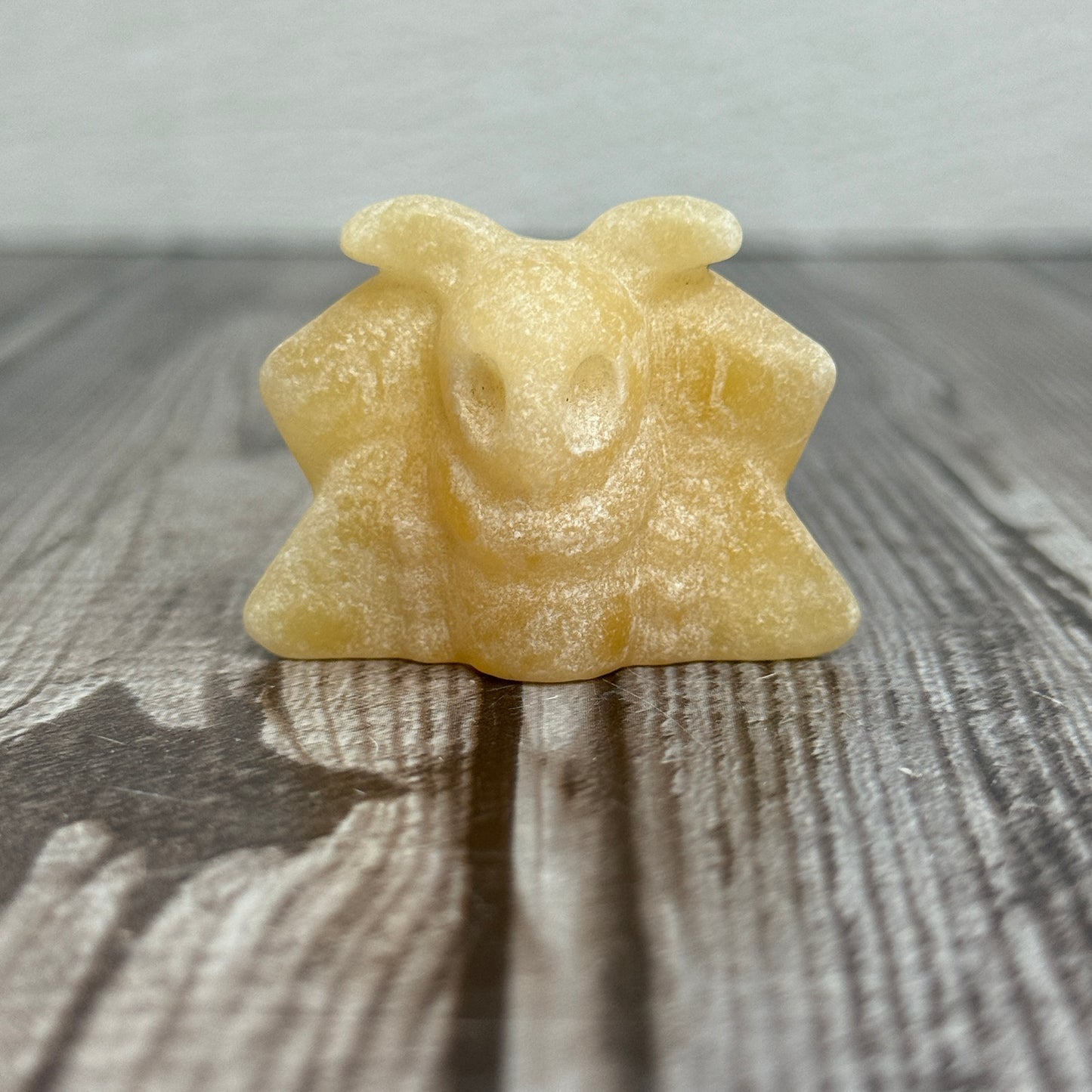 Moth Carving
