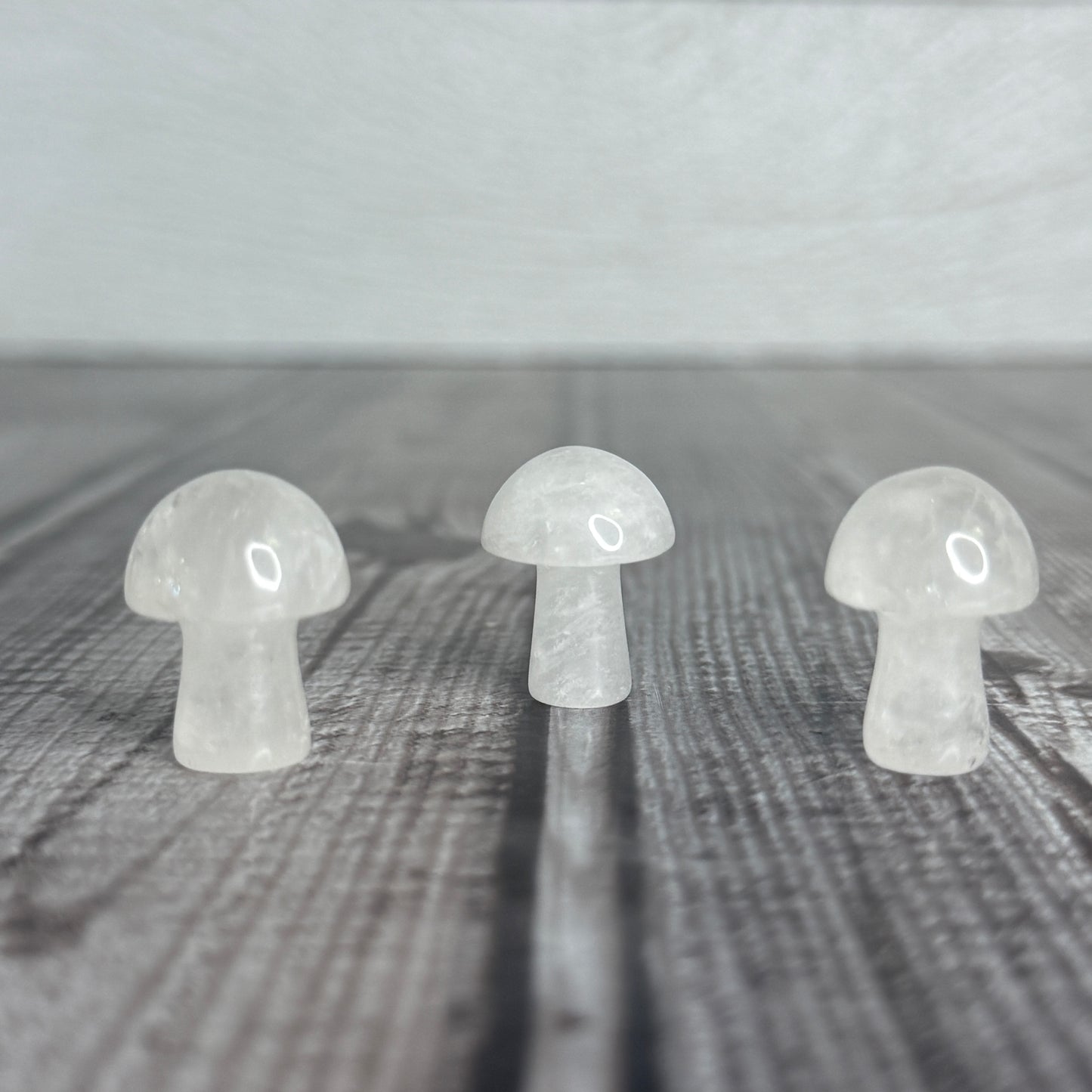 Mini Mushroom