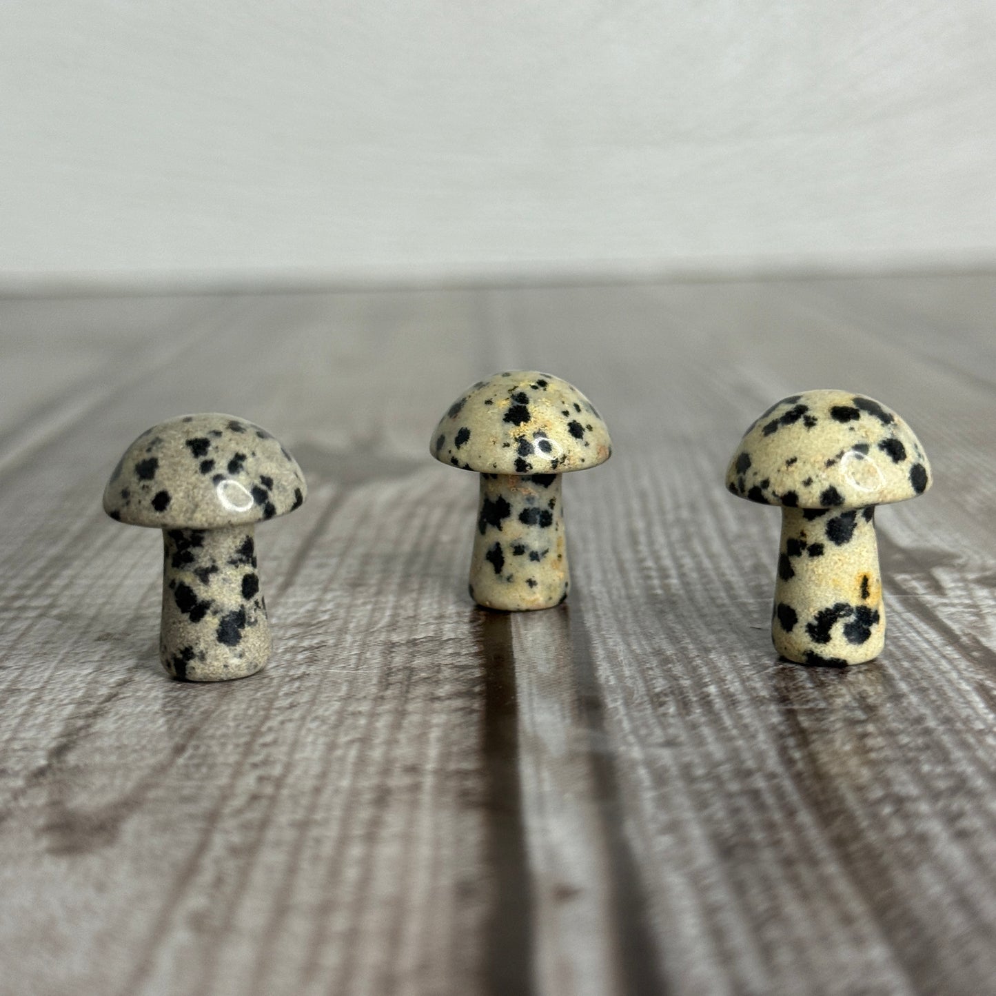 Mini Mushroom
