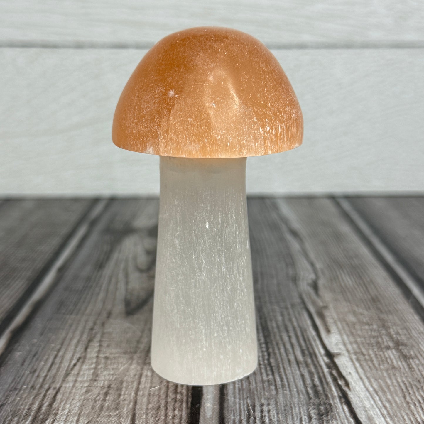 2 Tone Selenite Mushroom