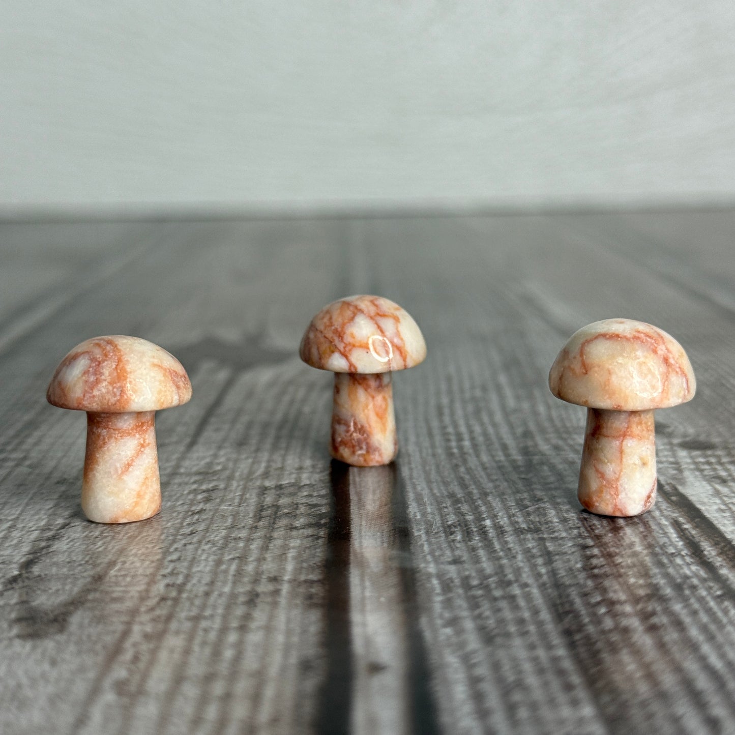 Mini Mushroom