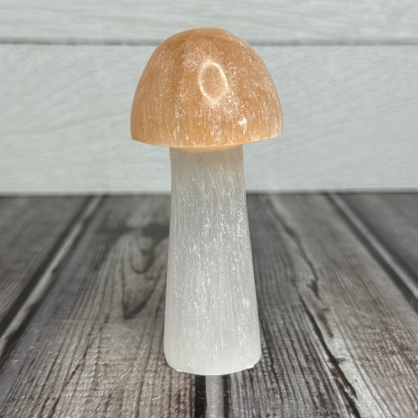 2 Tone Selenite Mushroom