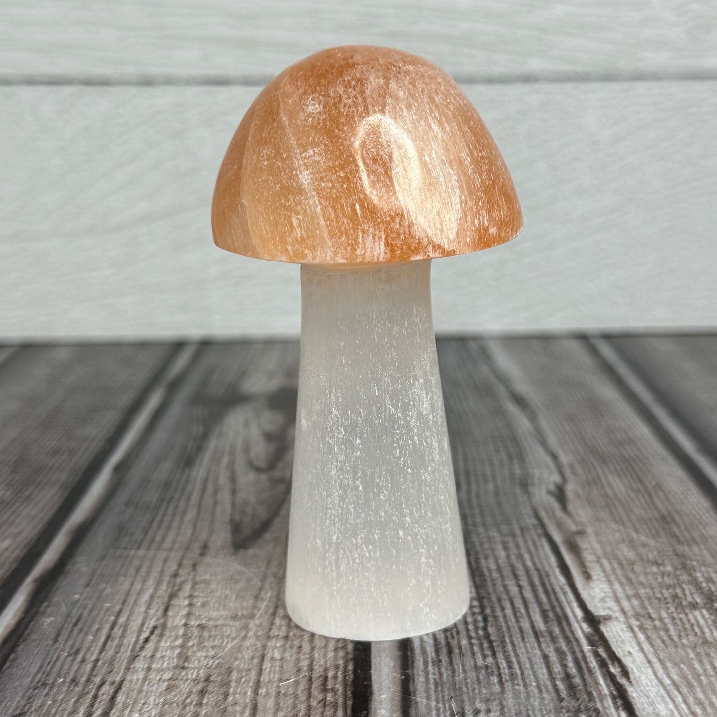 2 Tone Selenite Mushroom
