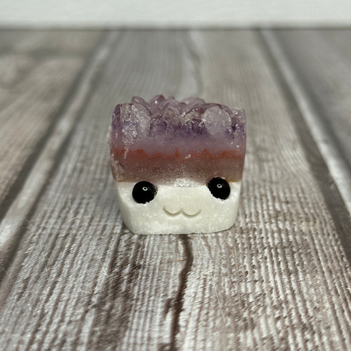 Rock Buddy
