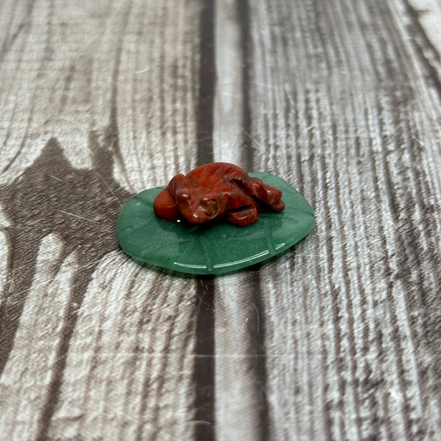 Frog on a Lilypad