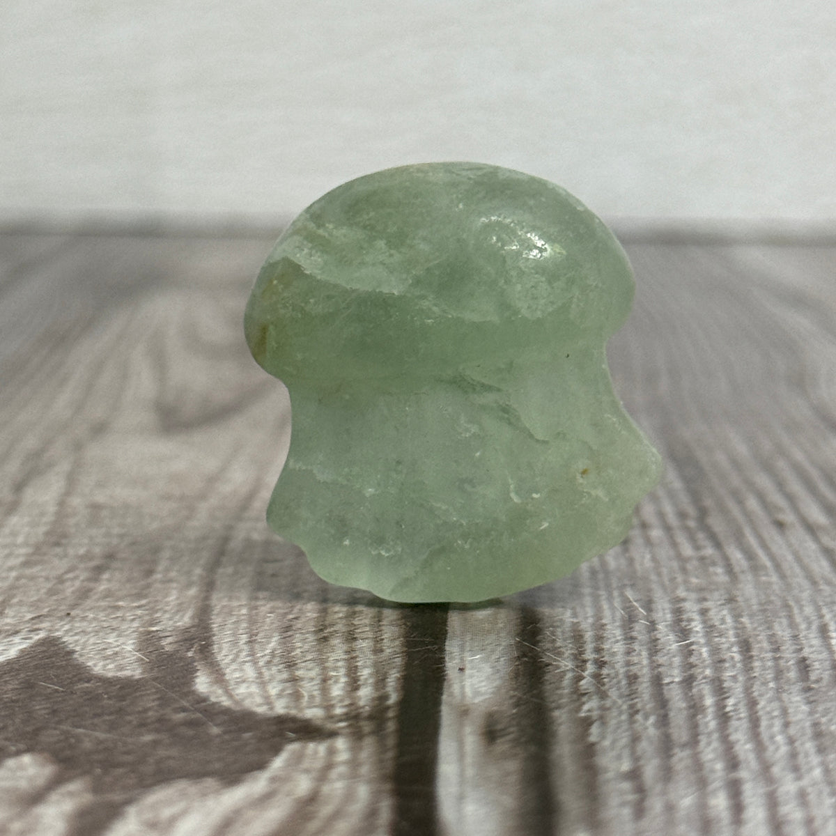 Jellyfish Carving