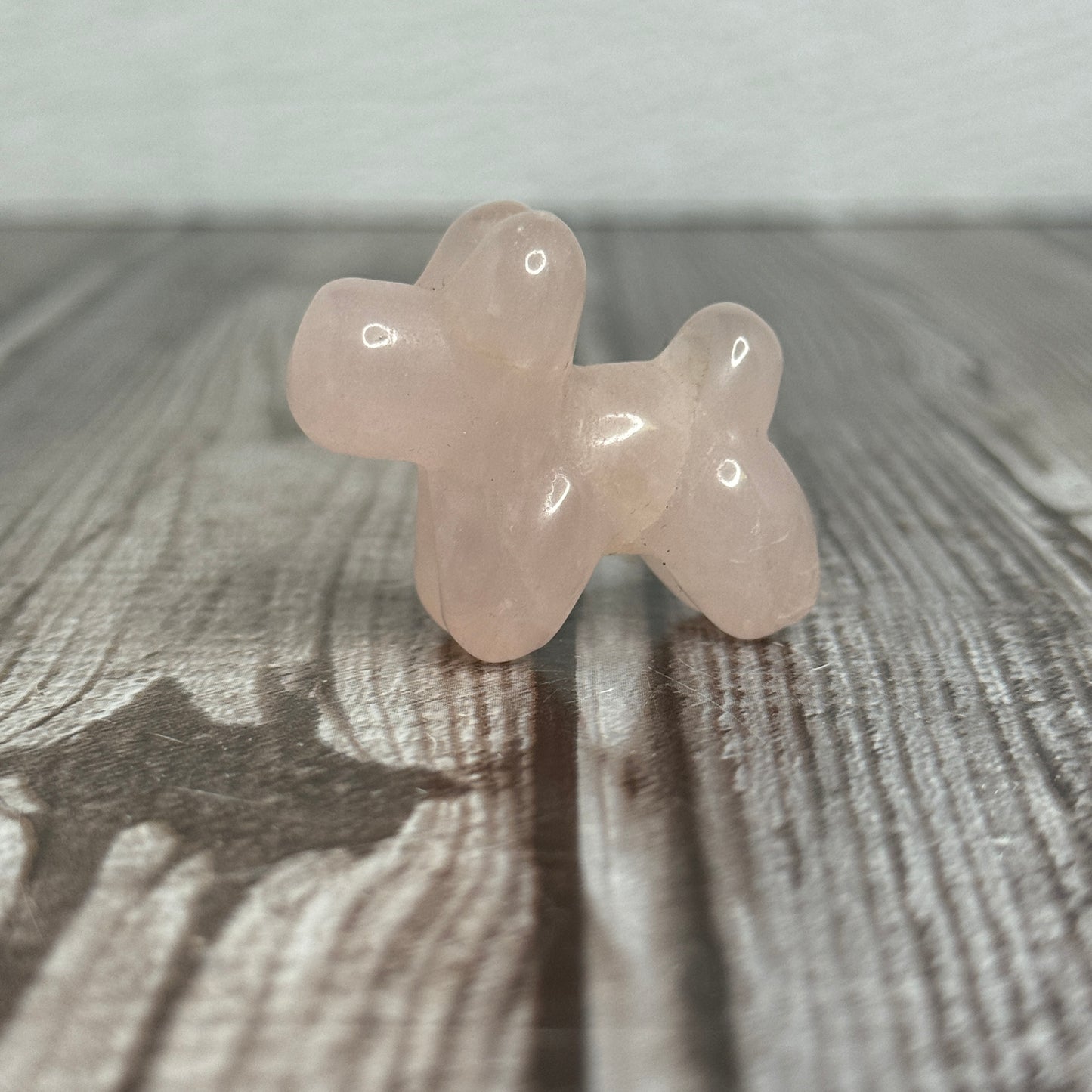 Balloon Dog Carving