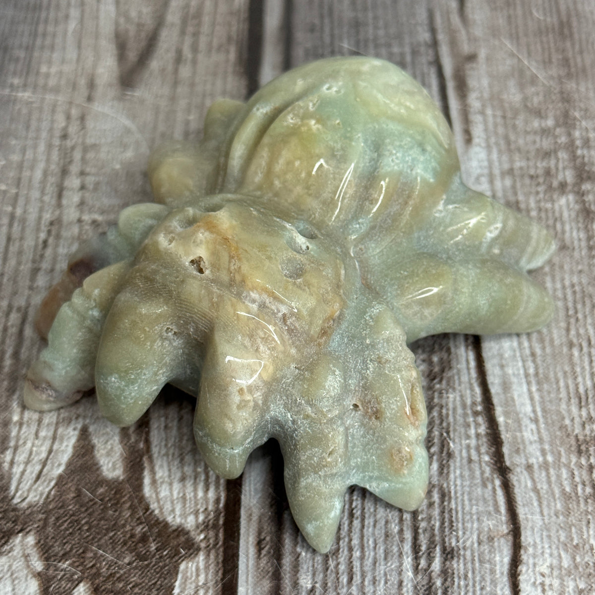 Spider Carving