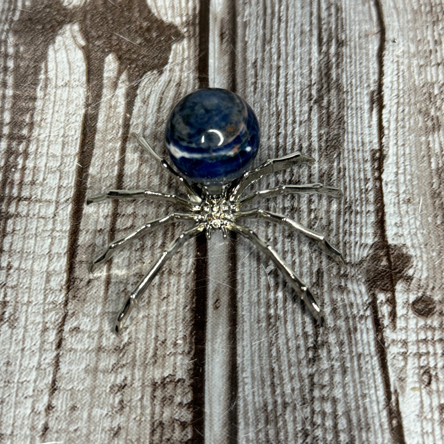 Spider