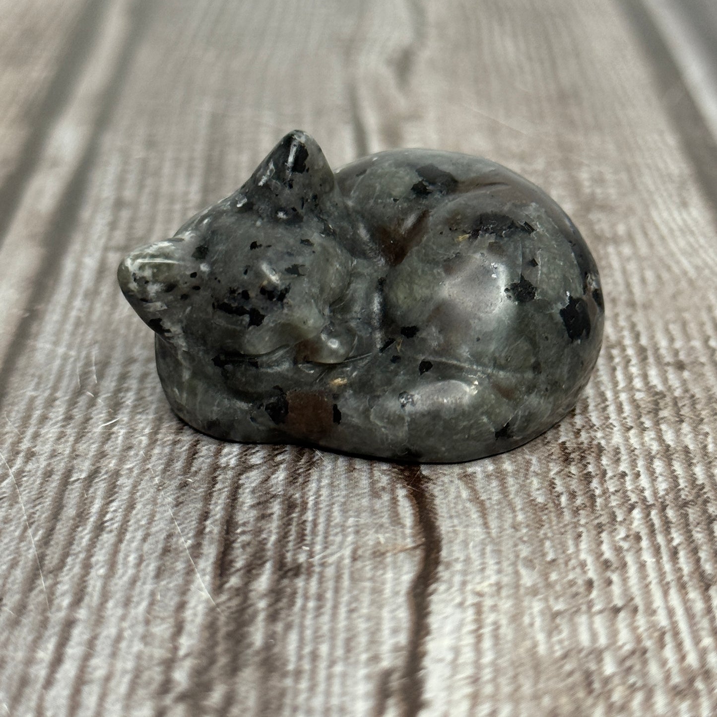 Cat Carving