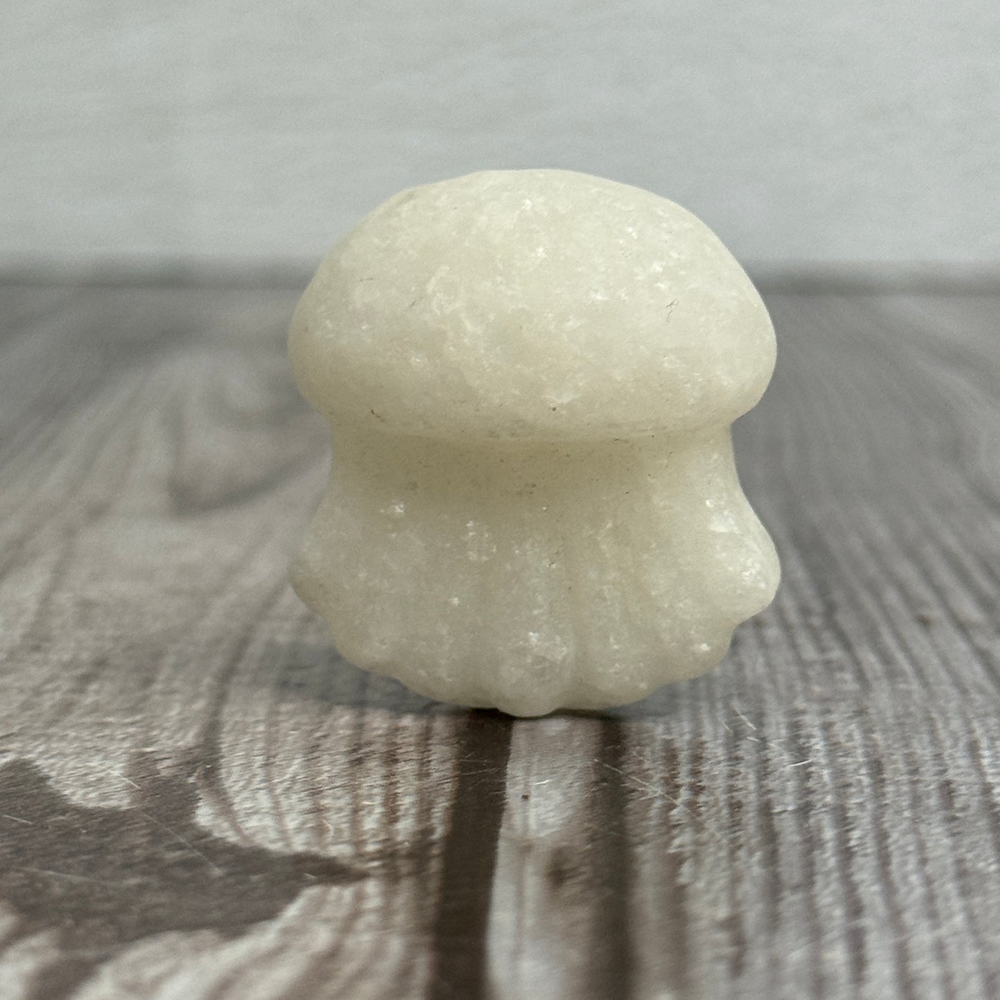 Jellyfish Carving