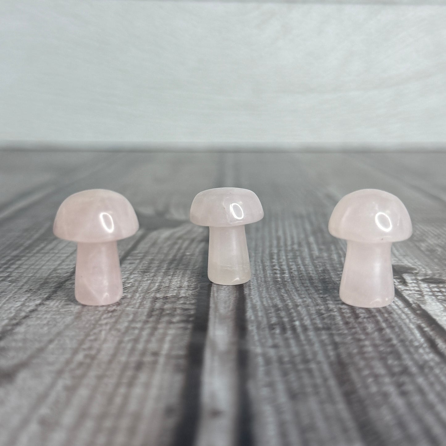 Mini Mushroom