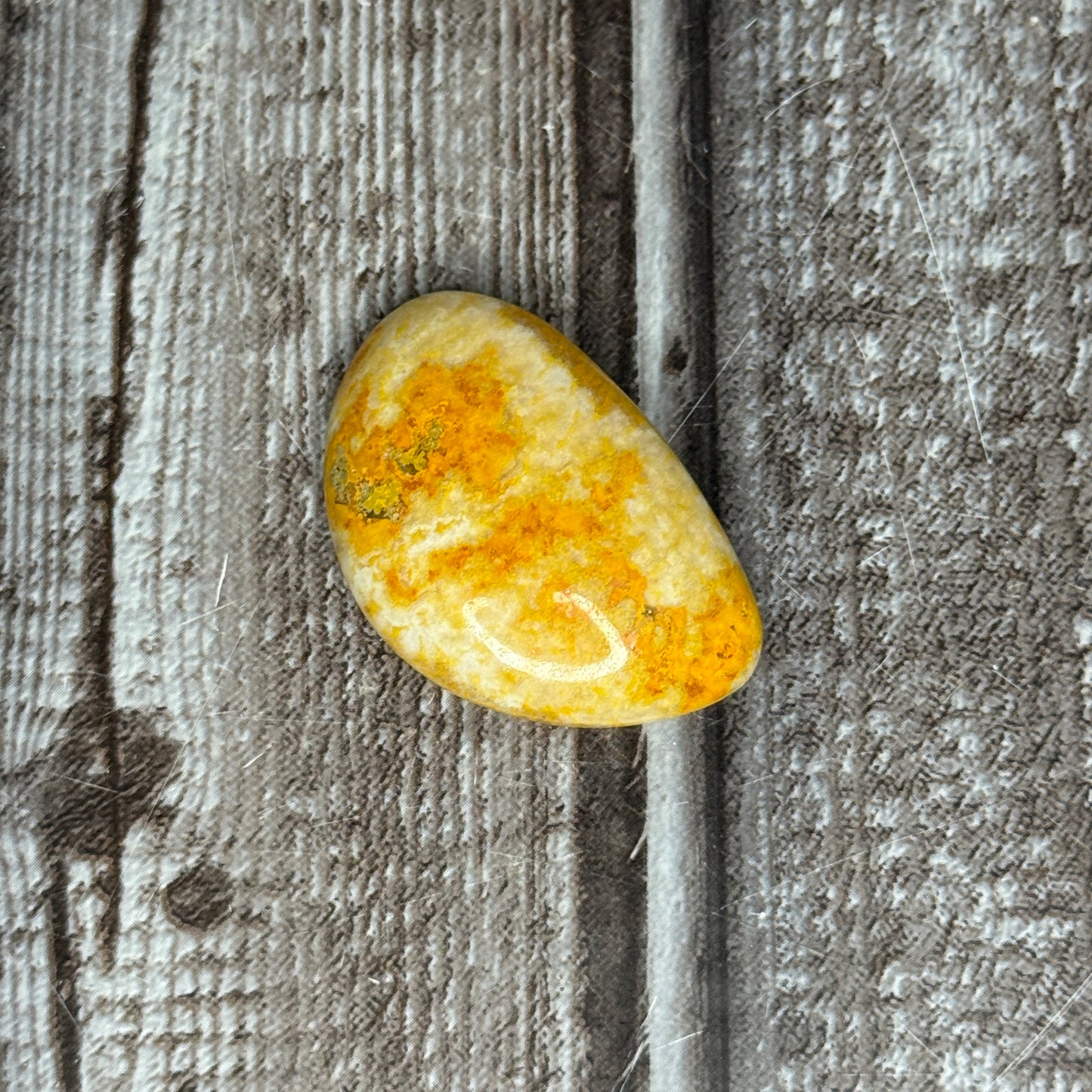 Bumblebee Jasper Slab