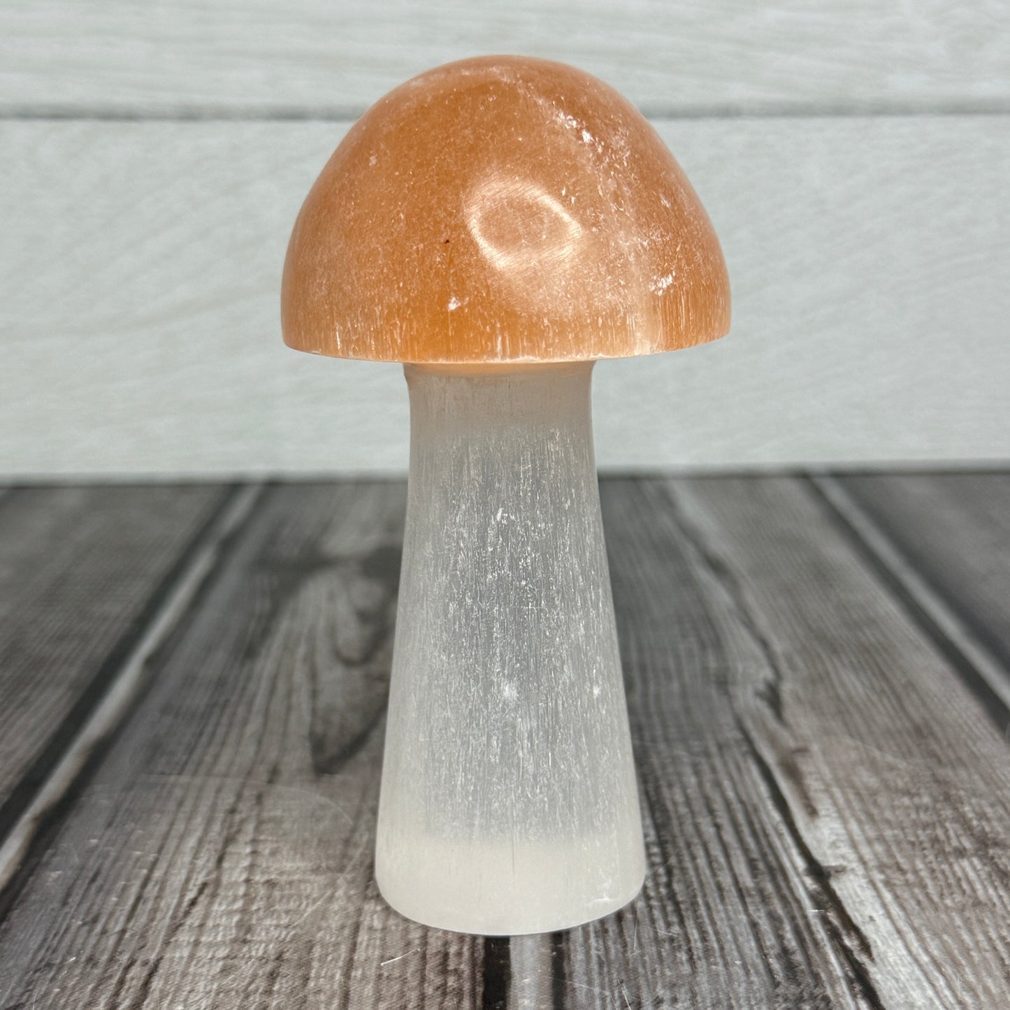 2 Tone Selenite Mushroom