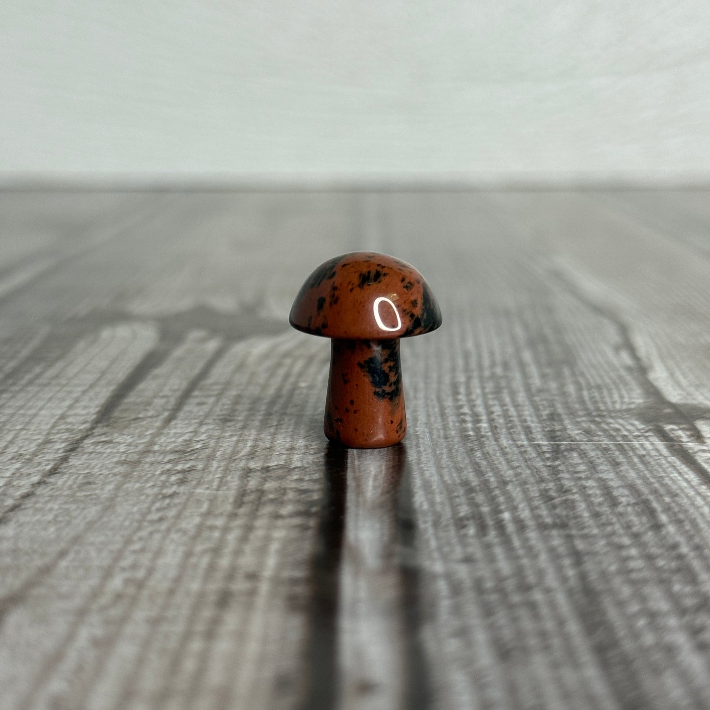 Mini Mushroom