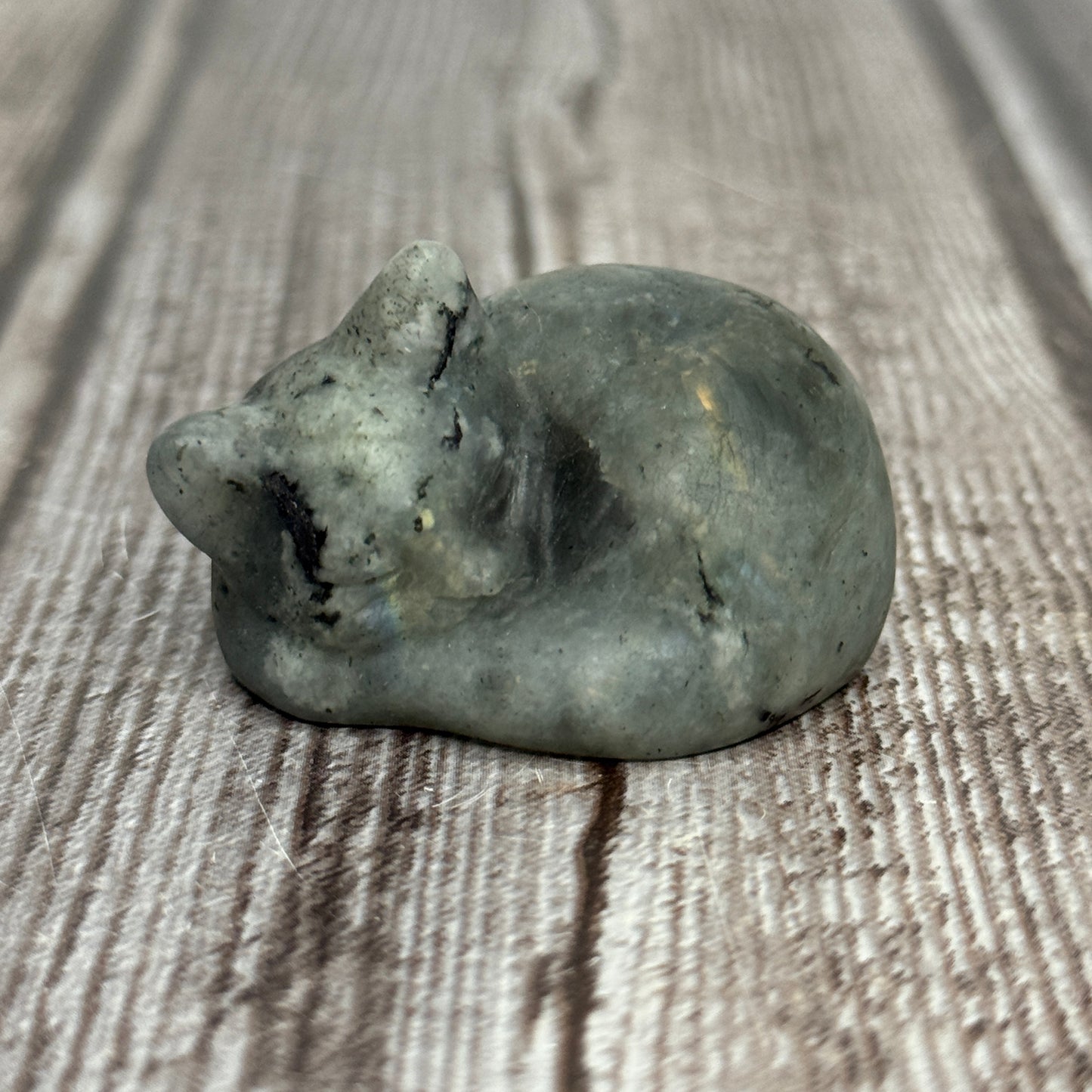 Cat Carving