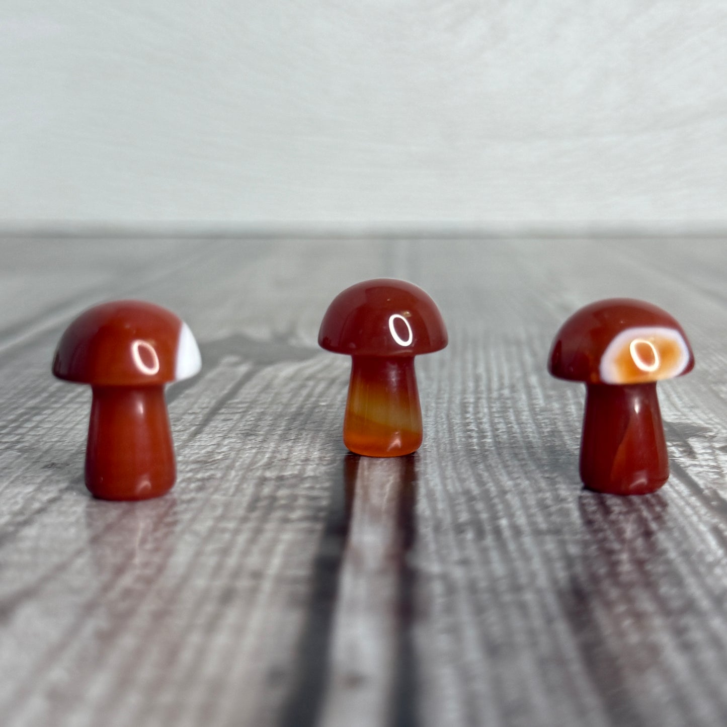 Mini Mushroom