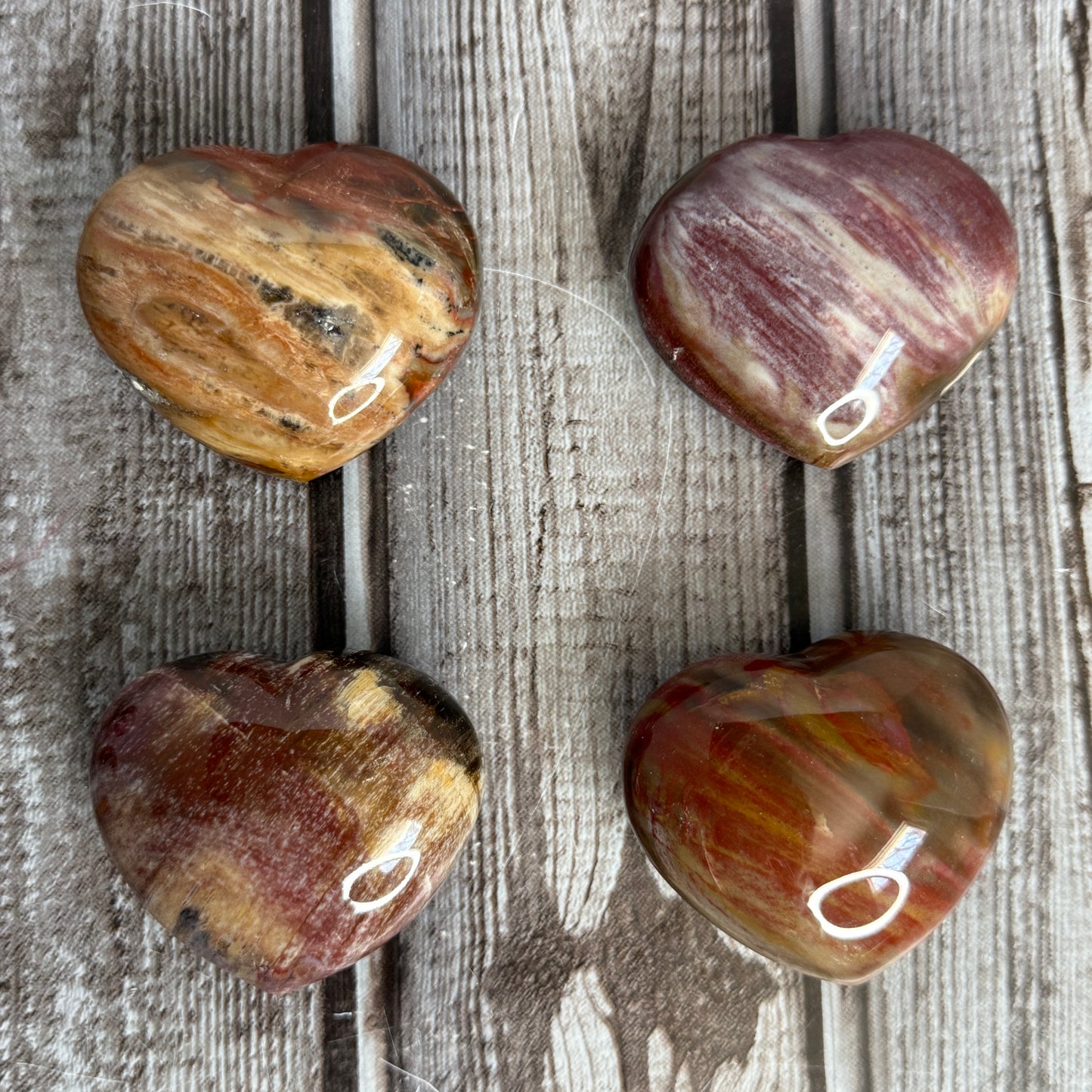 Petrified Wood Heart