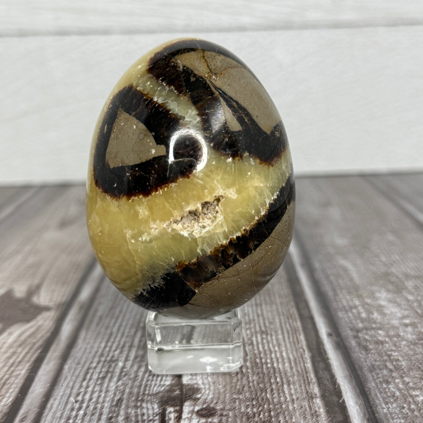 Septarian Egg