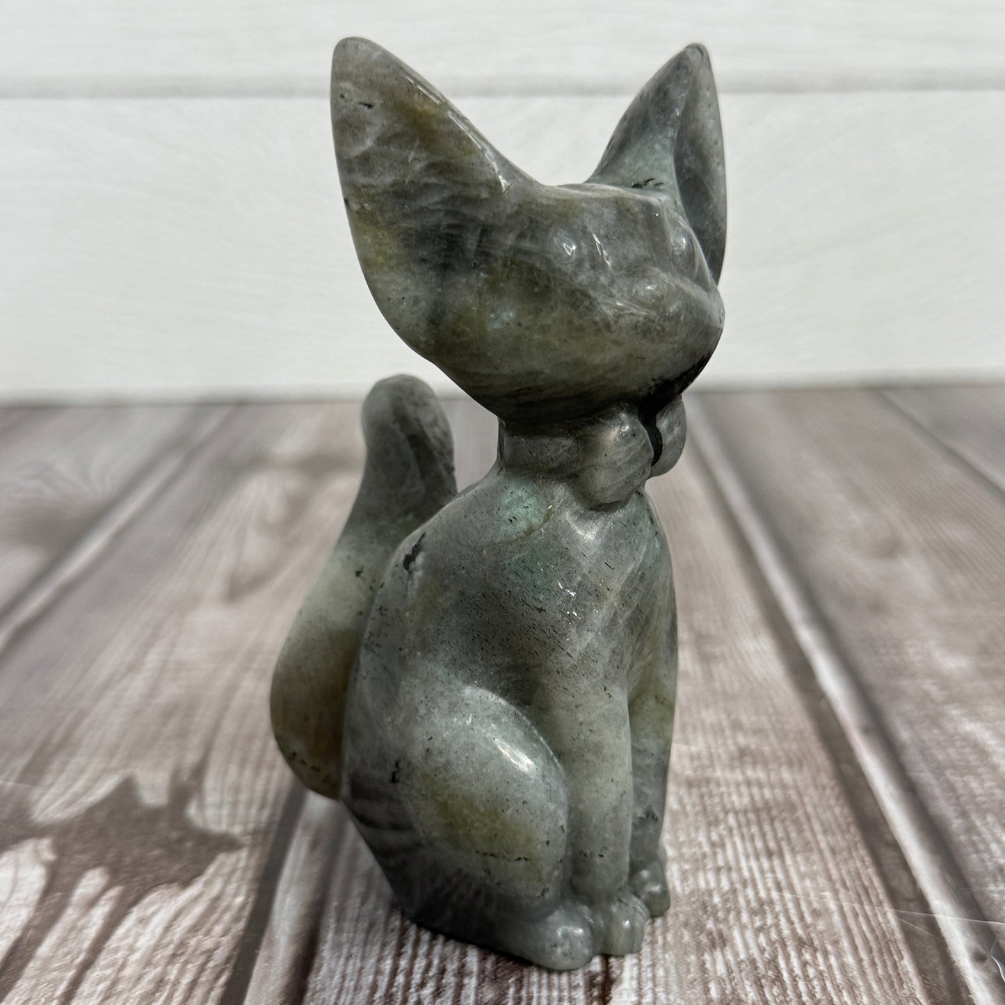 Sitting Cat