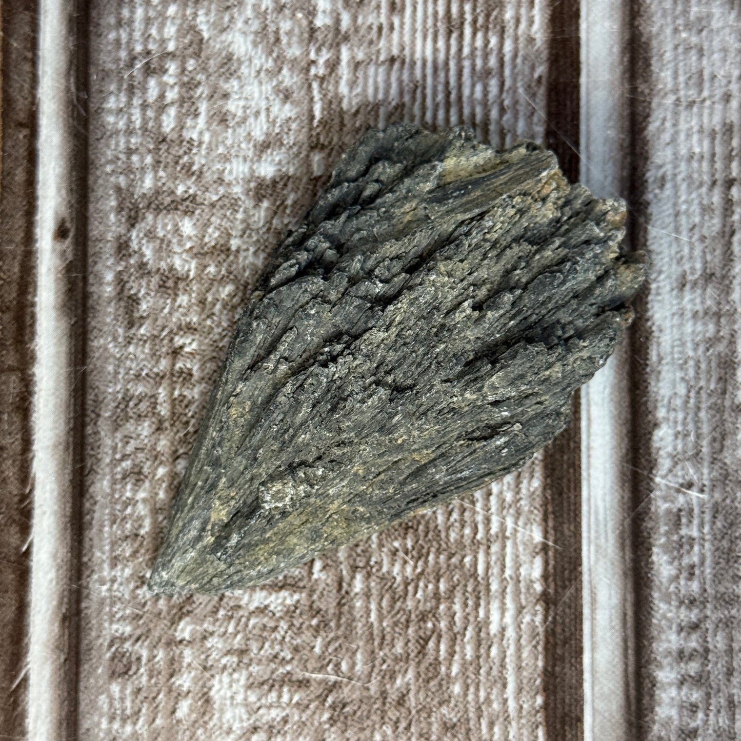 Black Kyanite Fan