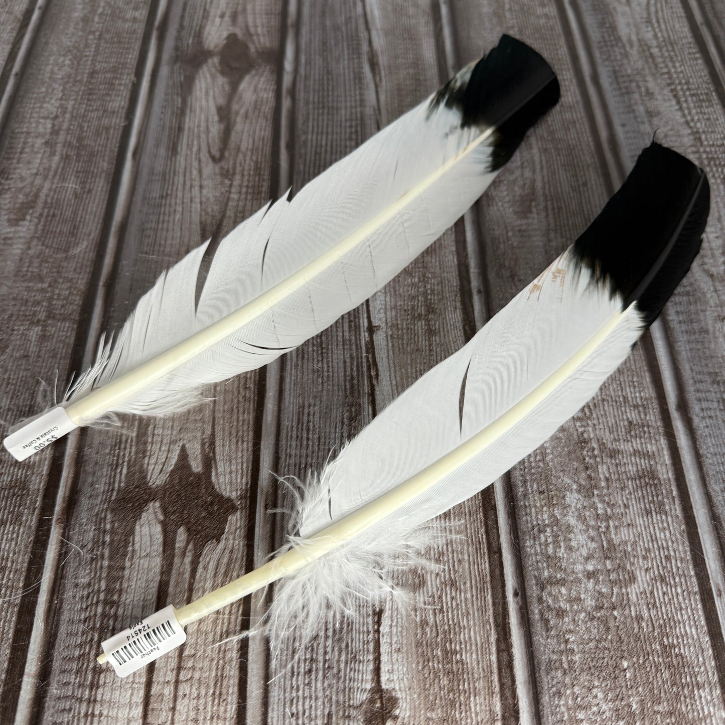 Feather