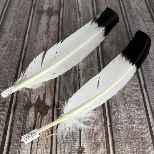 Feather
