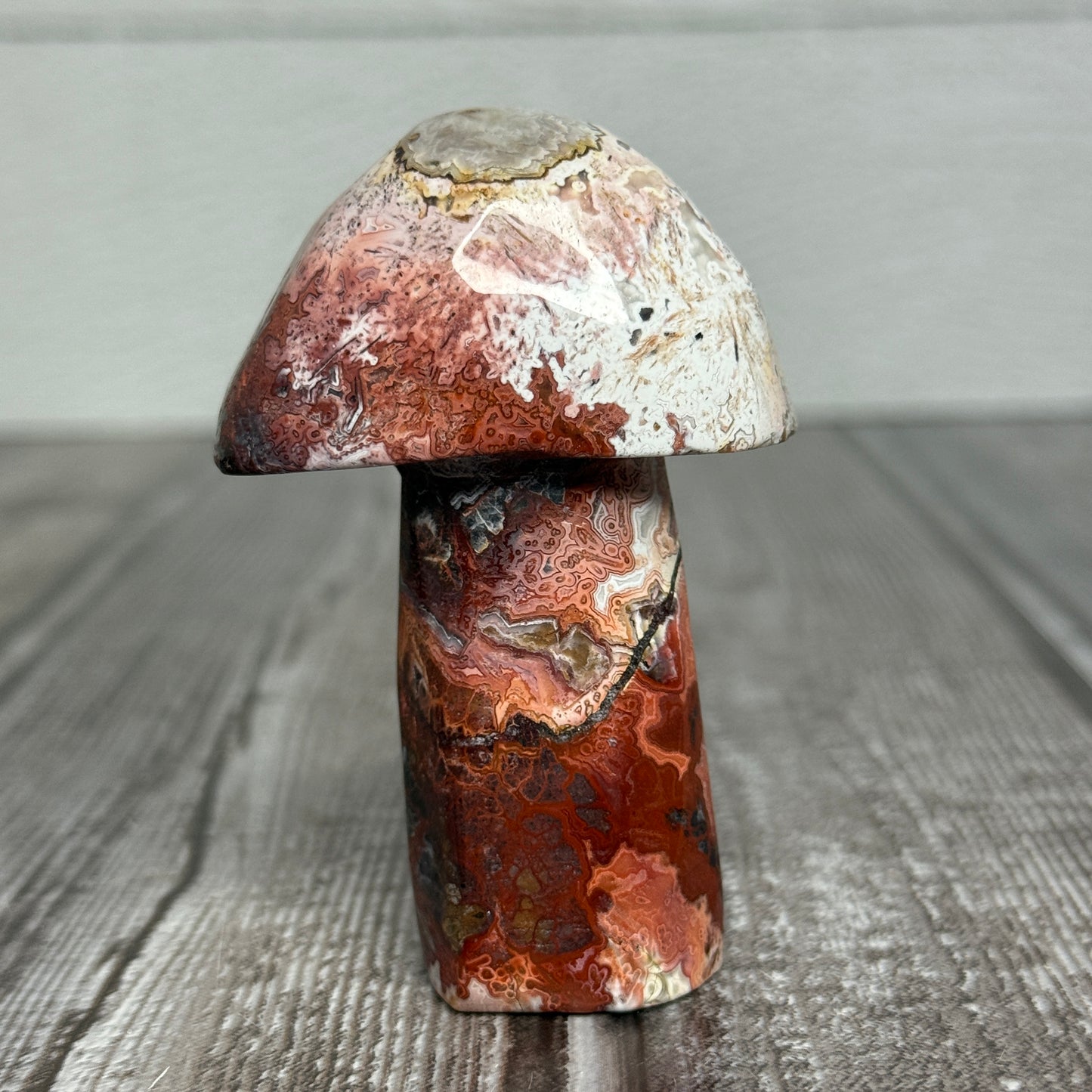 Mexican Lace Agate Mushroom