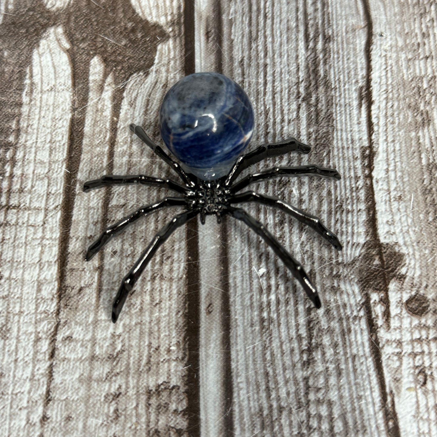 Spider
