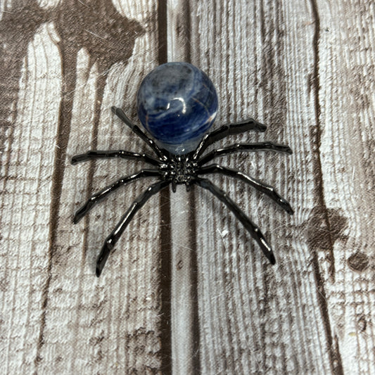 Spider