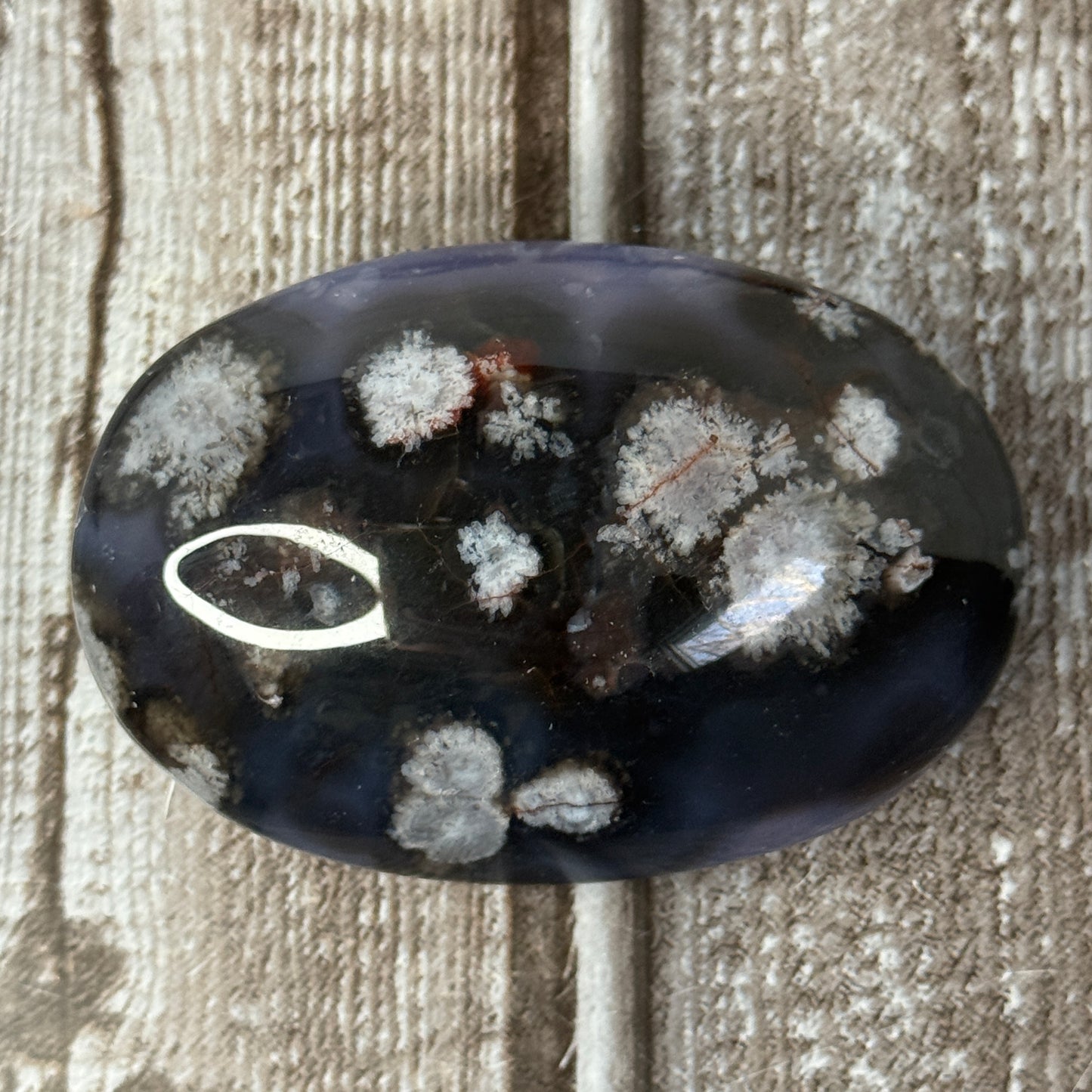 Blue Flower Agate Palmstone