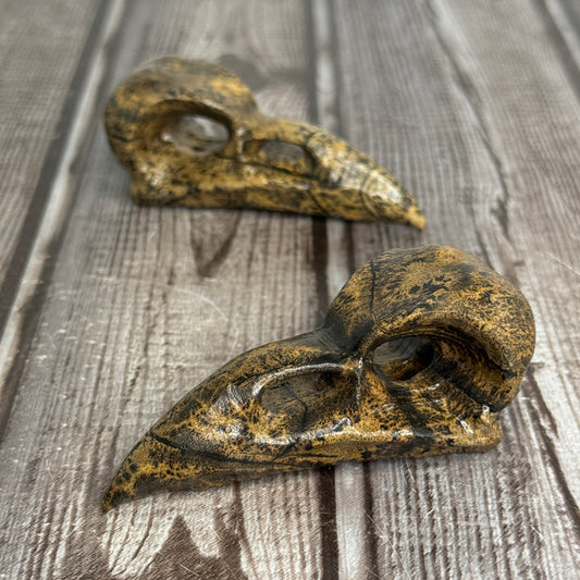 Picture Jasper Raven Skull