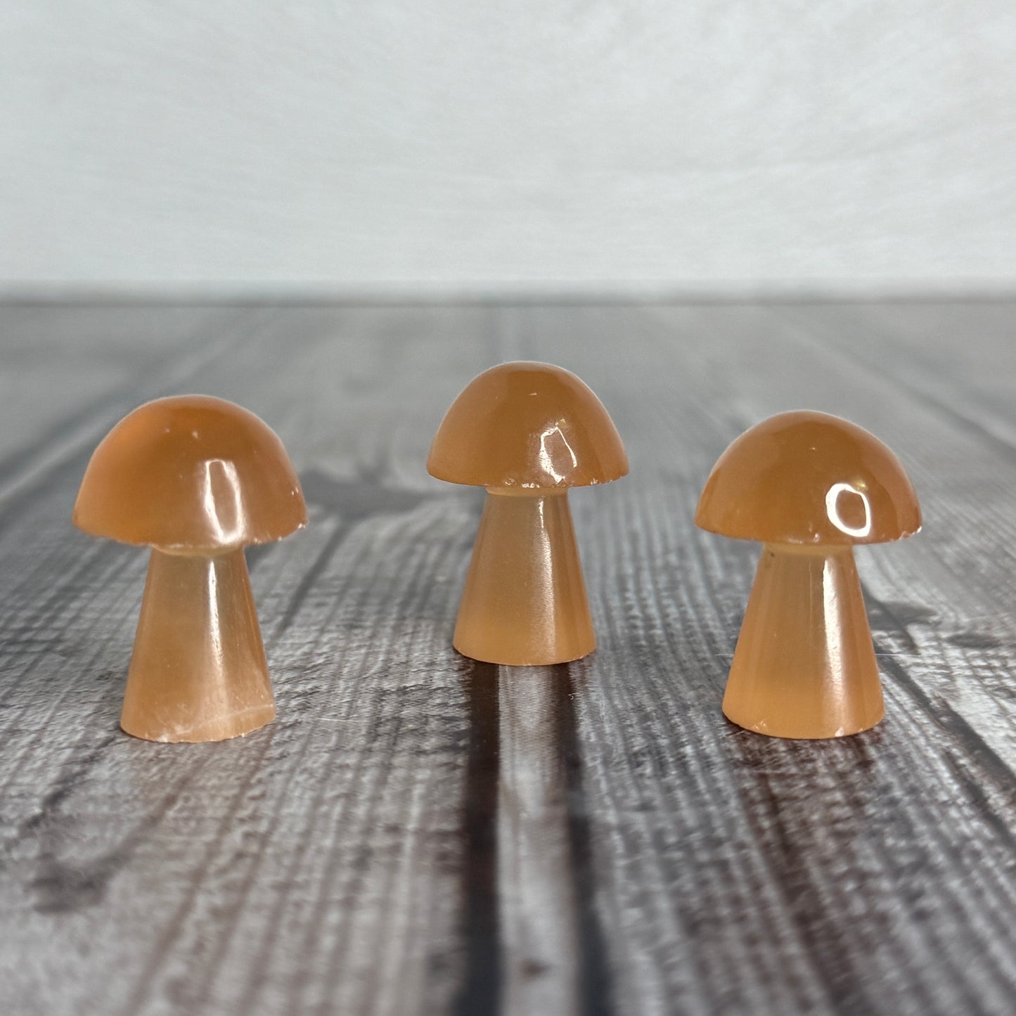 Mini Mushroom
