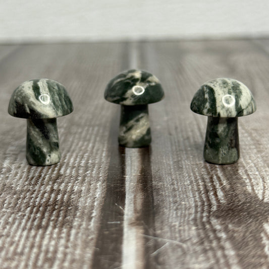 Mini Mushroom