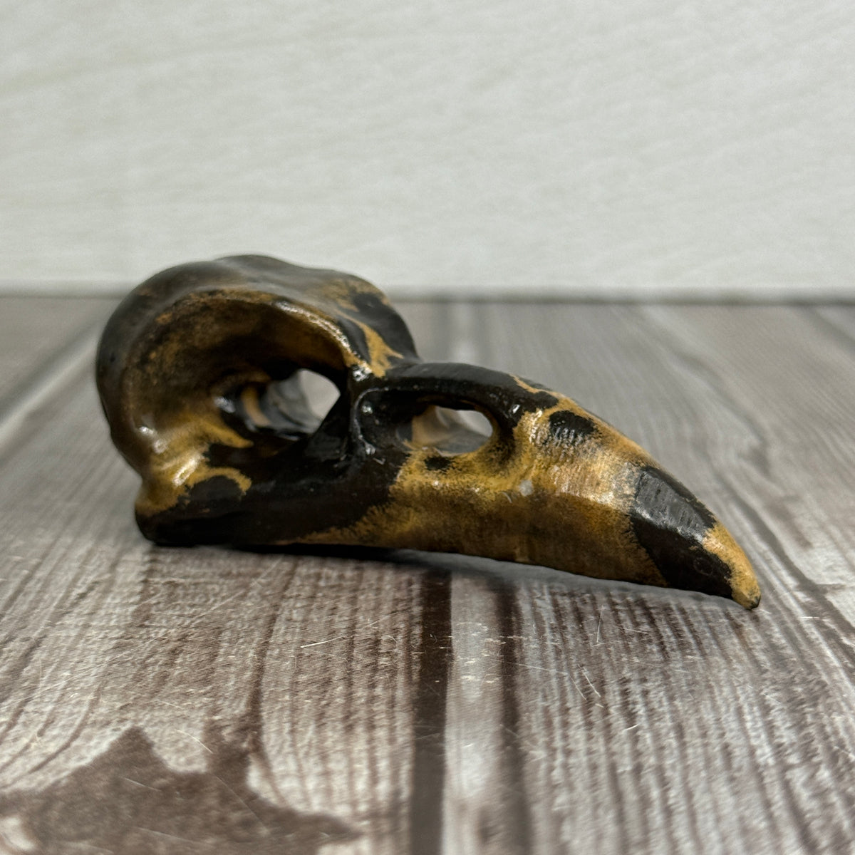Picture Jasper Raven Skull