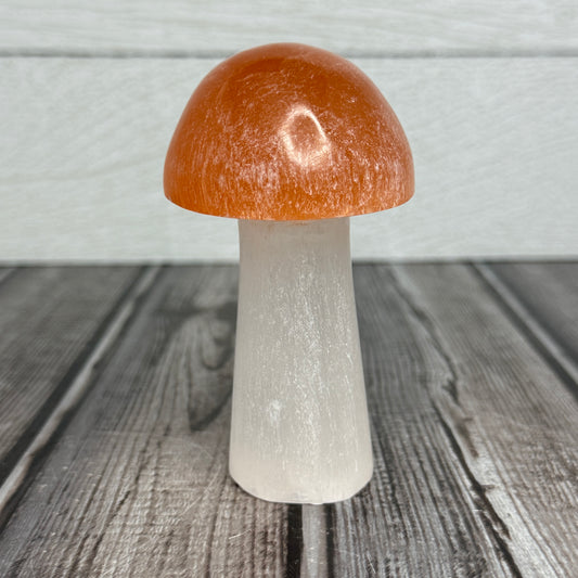 2 Tone Selenite Mushroom