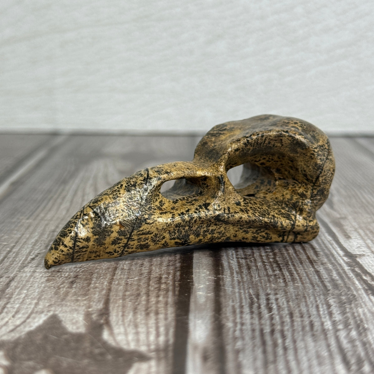 Picture Jasper Raven Skull
