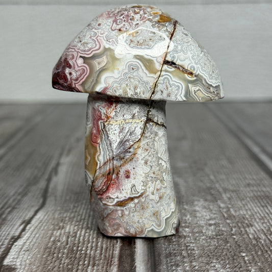 Mexican Lace Agate Mushroom