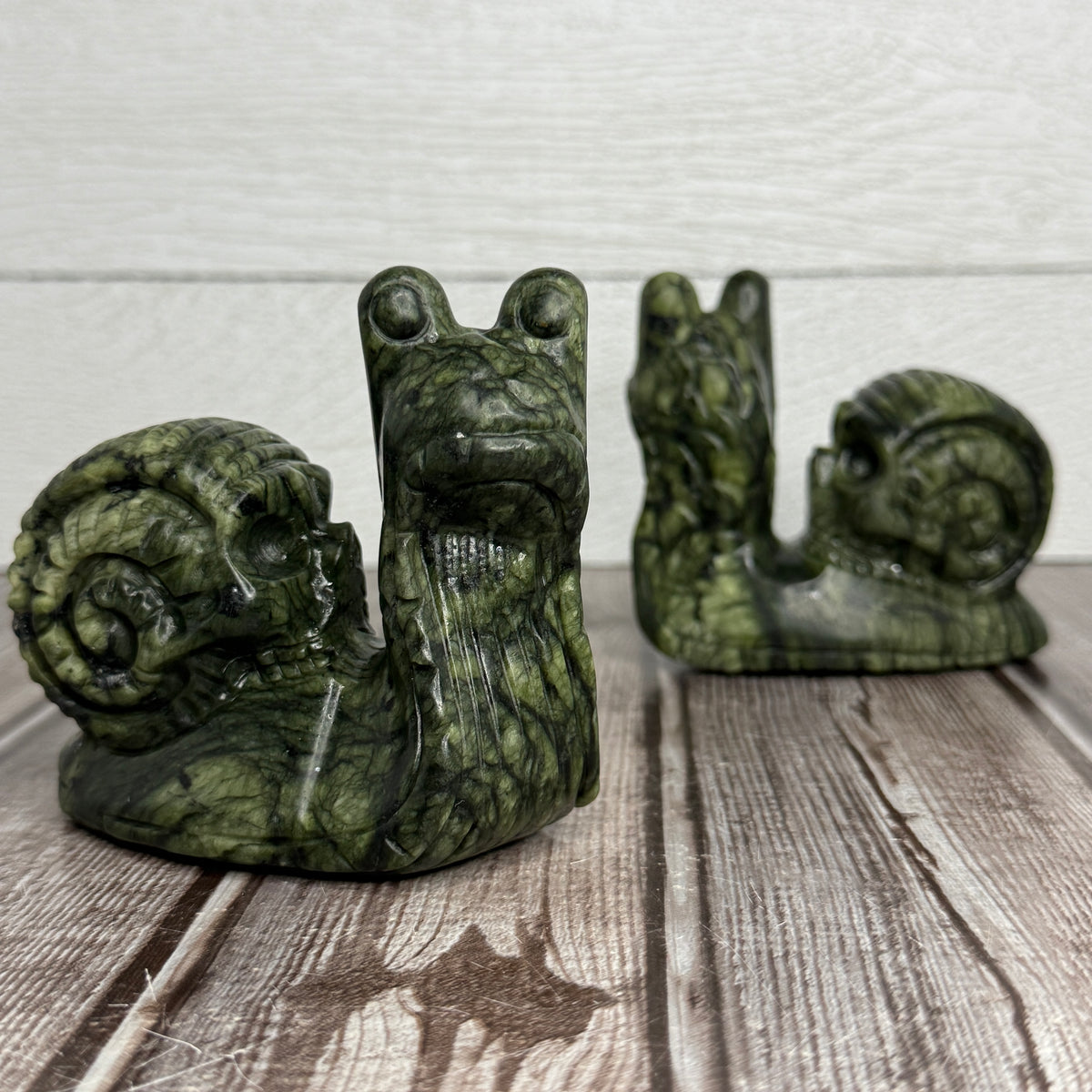 Green Jade Skull Snail