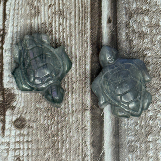 Labradorite Turtle