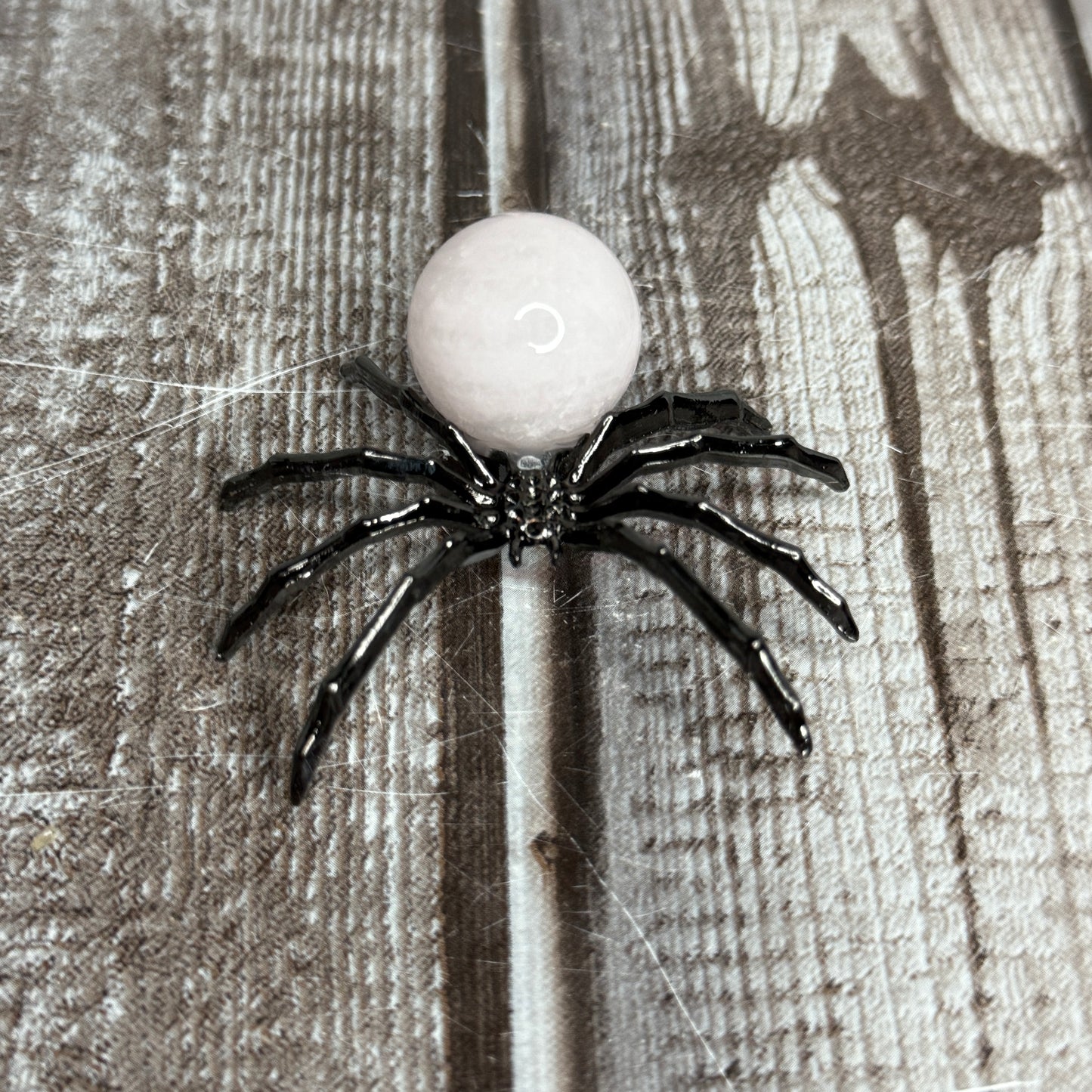 Spider