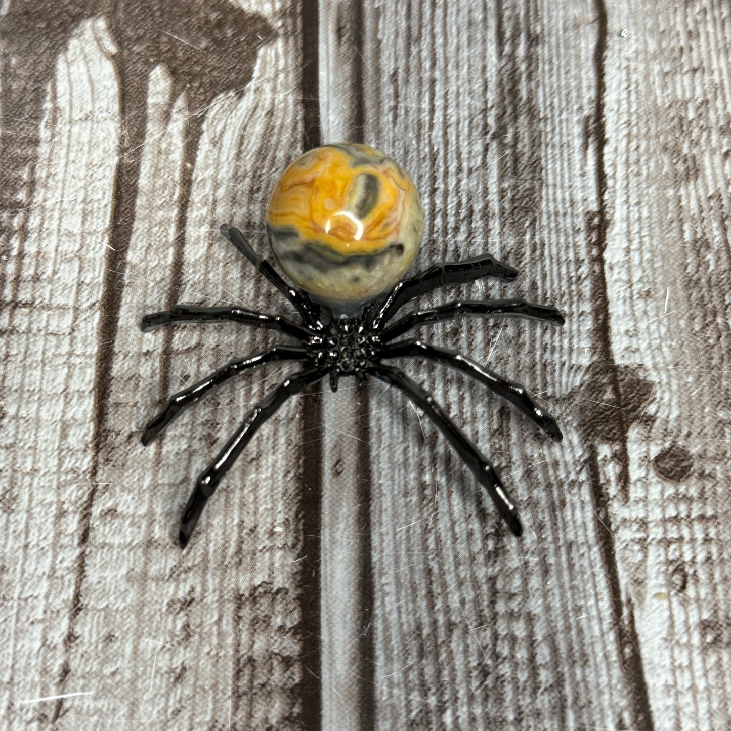 Spider