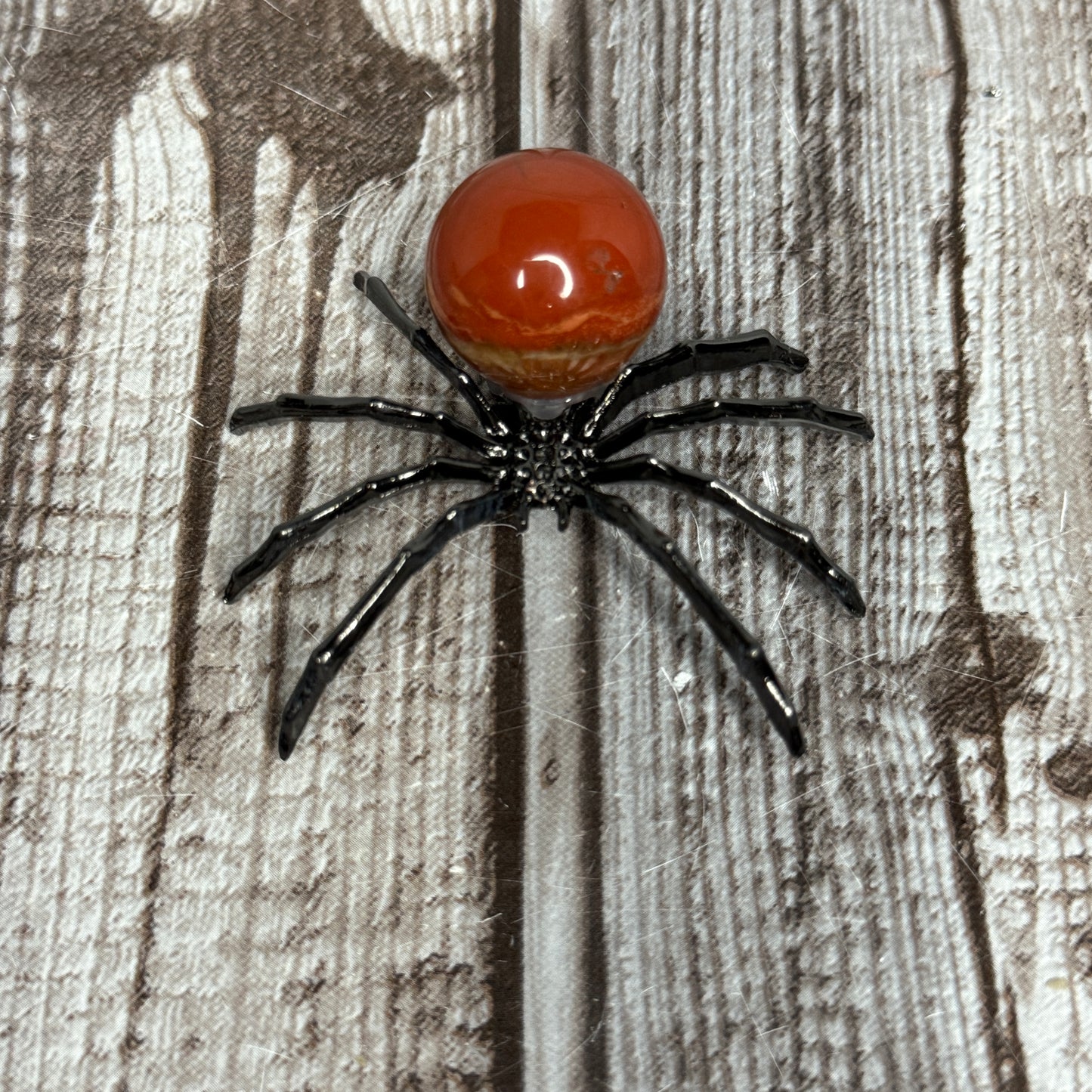 Spider