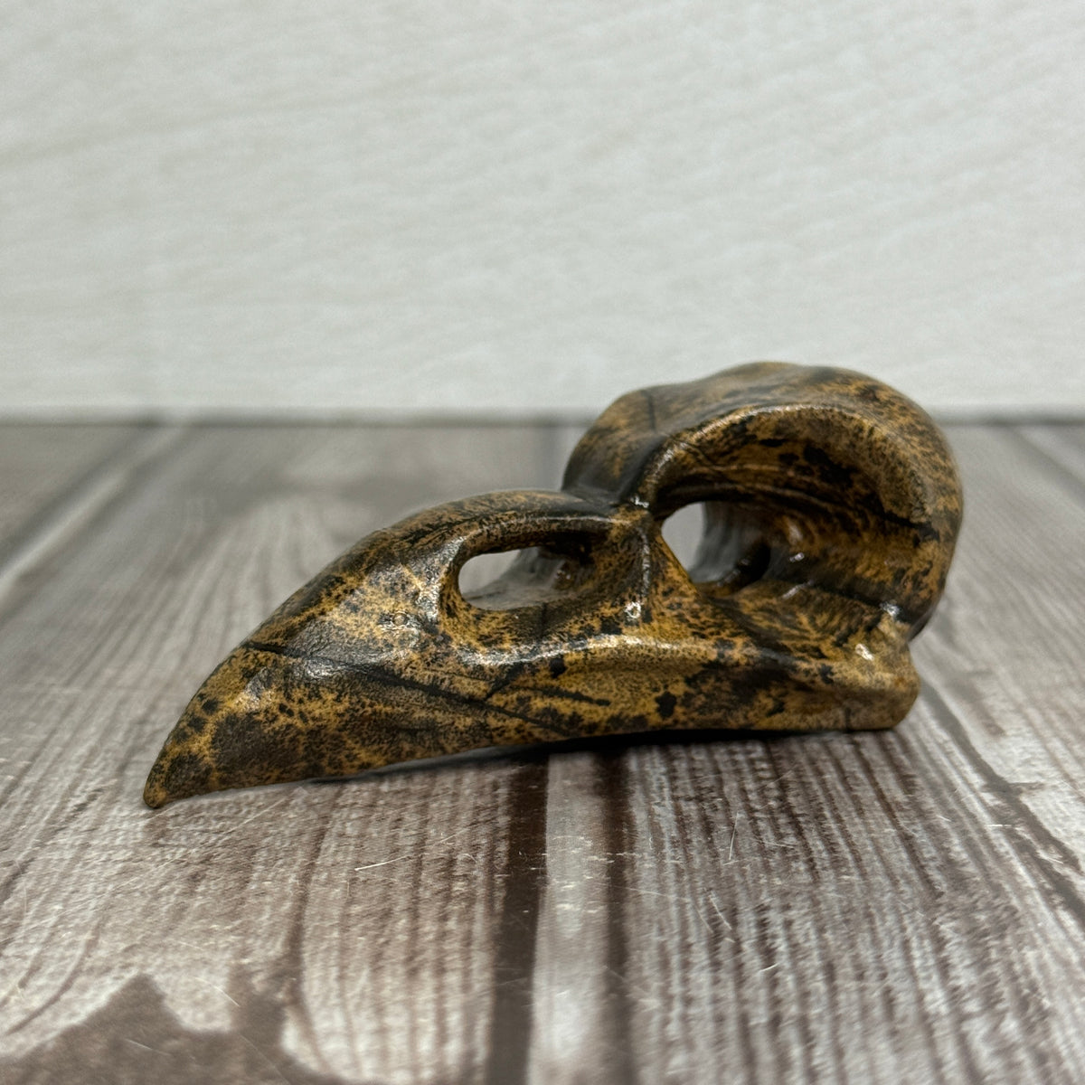 Picture Jasper Raven Skull