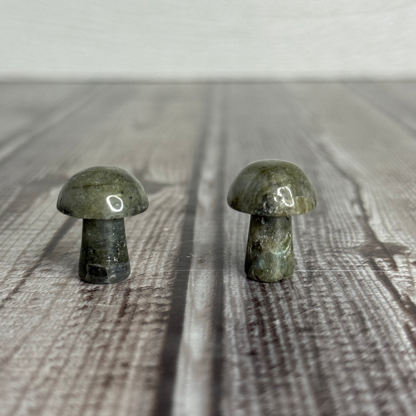 Mini Mushroom