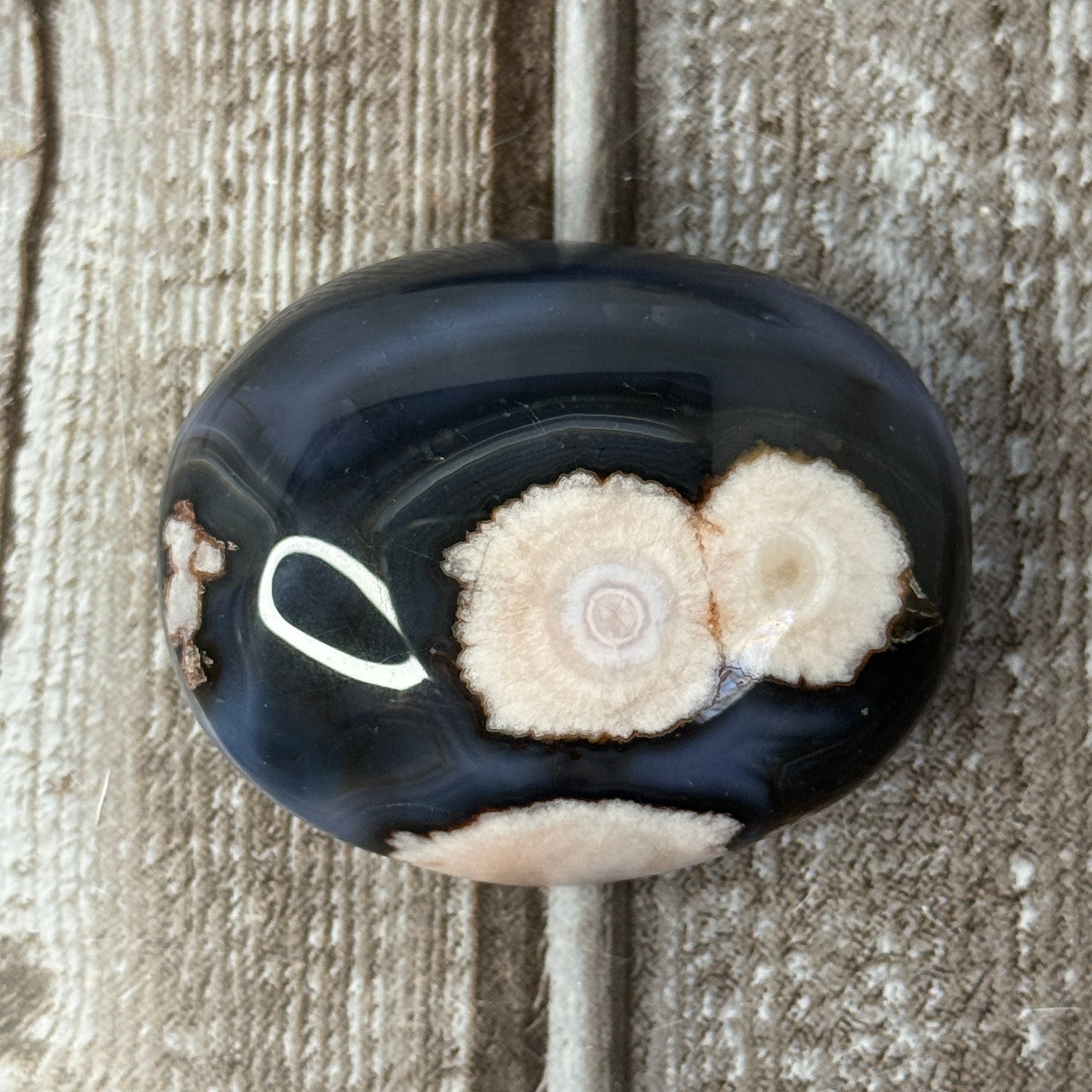 Blue Flower Agate Palmstone