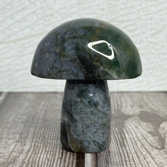 Moss Agate Mushroom